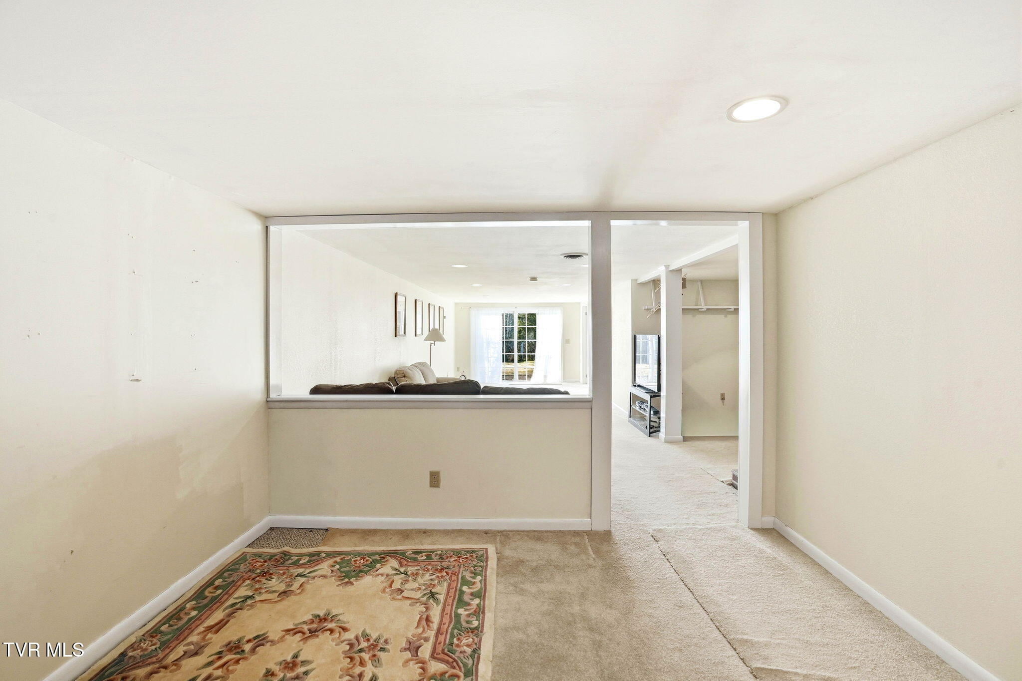 5420 Whitehouse Road Greeneville, TN 37745 - Photo 34 of 43 Downstairs Living Area