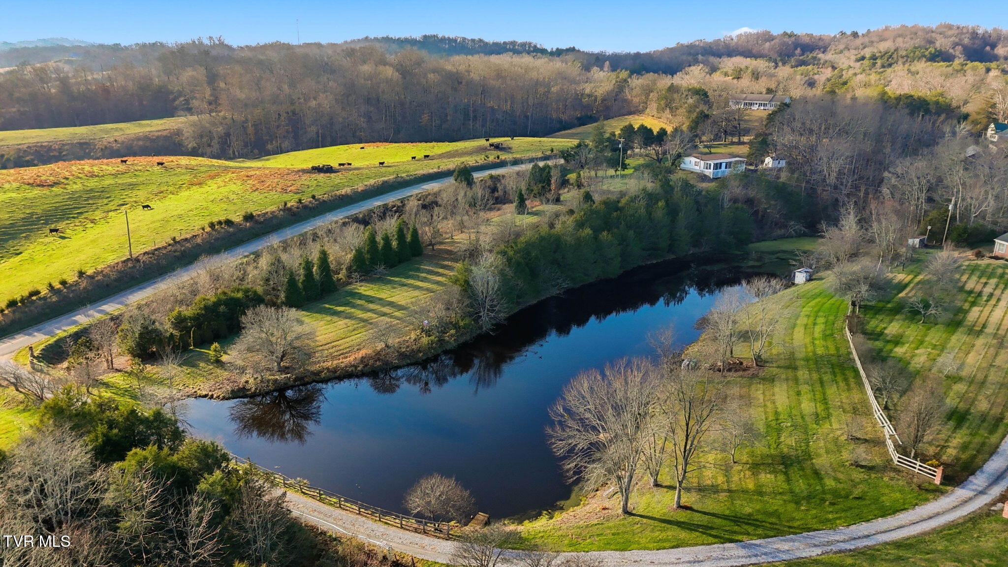 5420 Whitehouse Road Greeneville, TN 37745 - Photo 43 of 43 Pond View