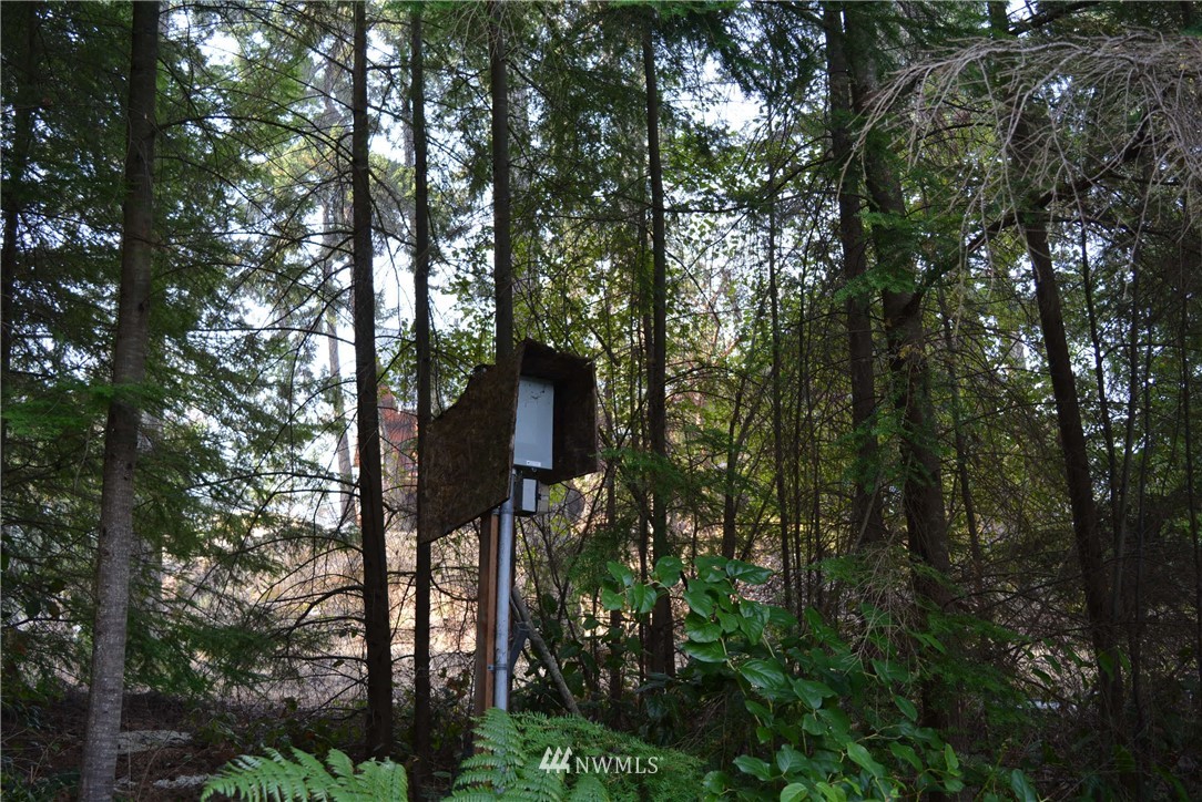 202 Northstar Road Lopez Island, WA 98261 - Photo 14 of 24