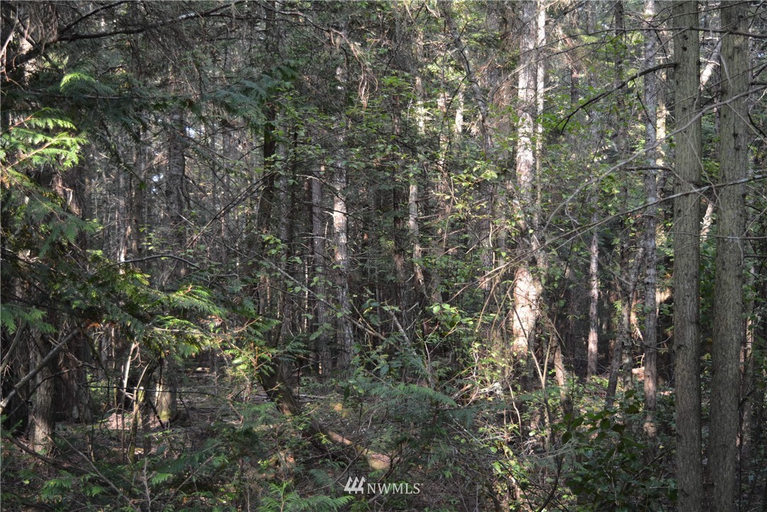 202 Northstar Road Lopez Island, WA 98261 - Photo 22 of 24