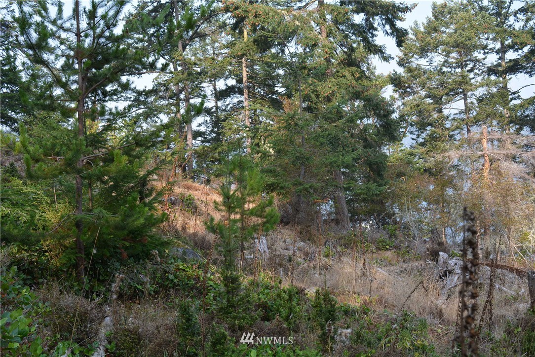202 Northstar Road Lopez Island, WA 98261 - Photo 8 of 24