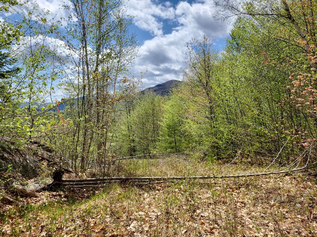 Lot 11 Swift River Road Byron, ME 04275 - Photo 10 of 72 photo_1b193609-6749-4865-b47b-f8199f473a
