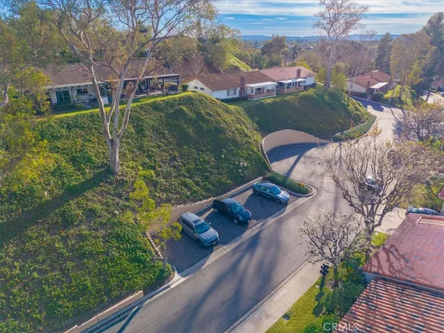 a view of a yard with potted plants