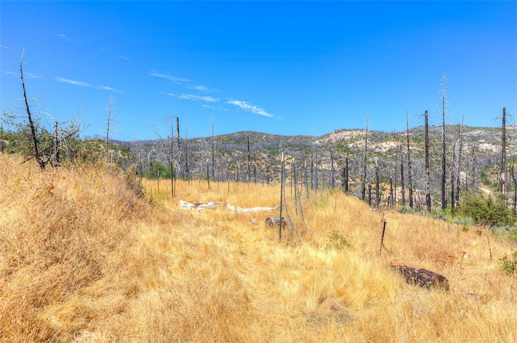 186 Harrison Springs Road Berry Creek, CA 95916 - Photo 12 of 22 a view of a yard with a lake view