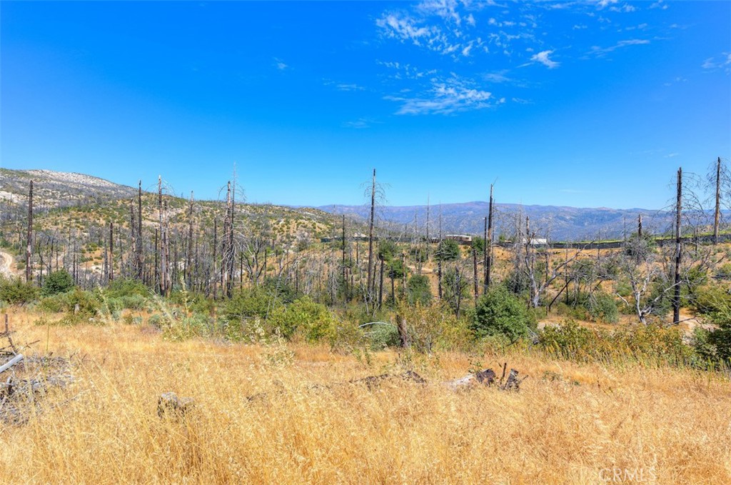 186 Harrison Springs Road Berry Creek, CA 95916 - Photo 13 of 22