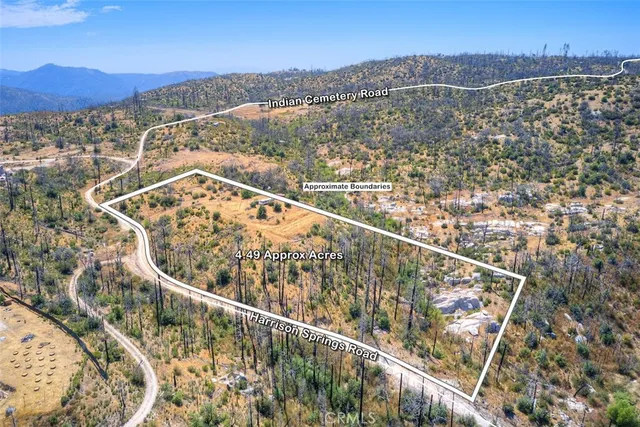 a view of mountain with a forest