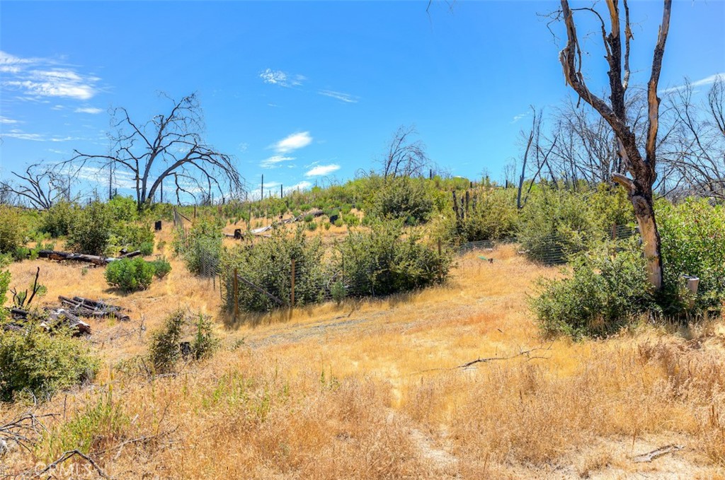 186 Harrison Springs Road Berry Creek, CA 95916 - Photo 8 of 22 a view of a yard with large tree