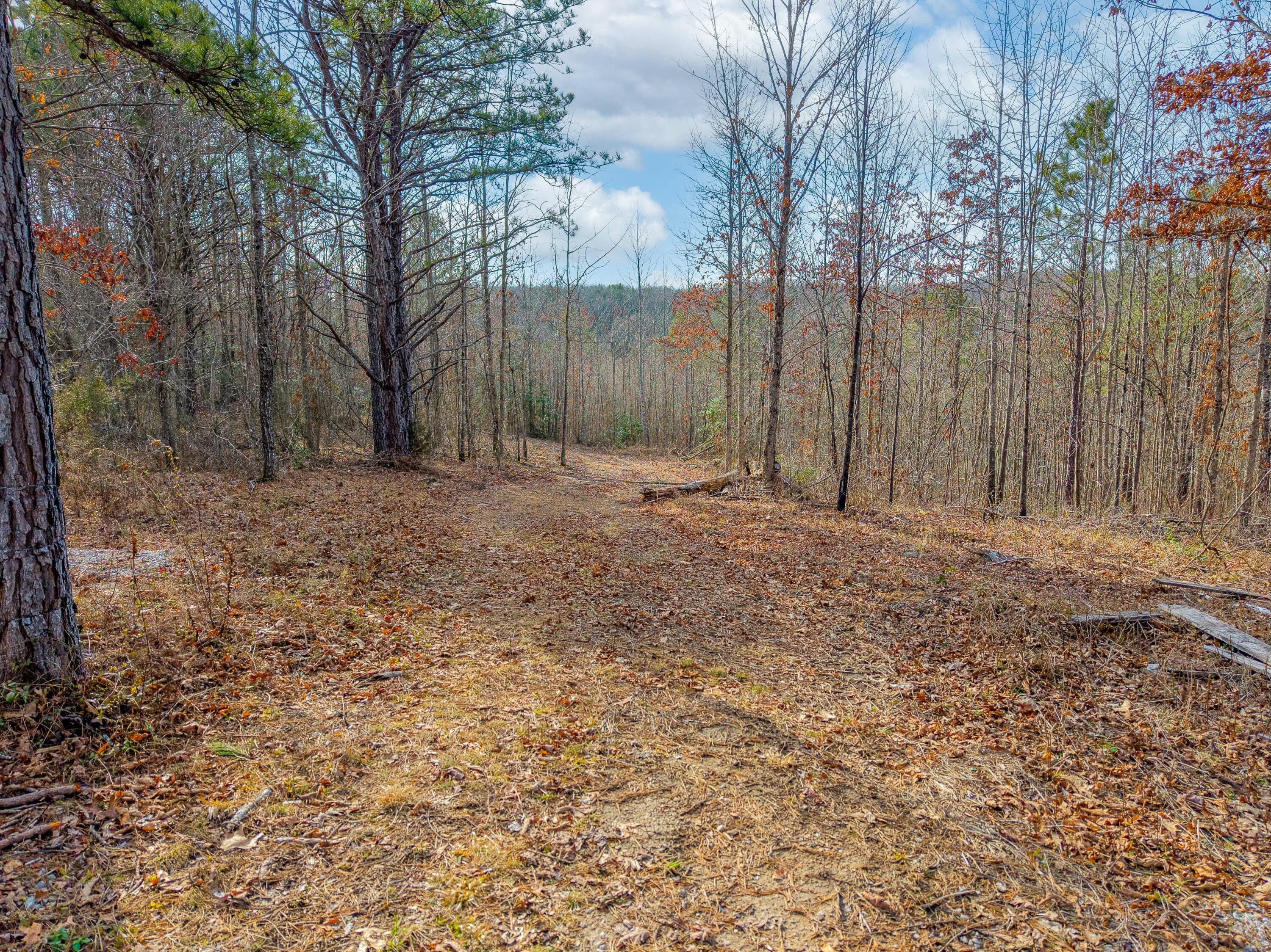 10553 Sandhill Road Whitley City, KY 42653 - Photo 10 of 14 tempImagexjddKr