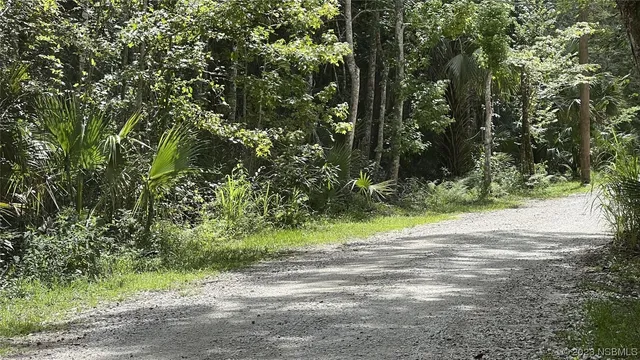 a view of a yard with a tree