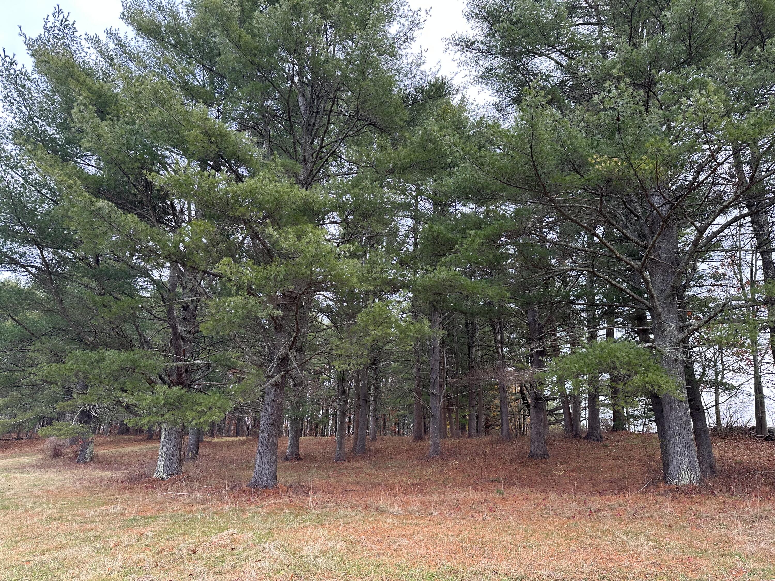 180 Highland Cliff Road Windham, ME 04062 - Photo 18 of 100 IMG_5395