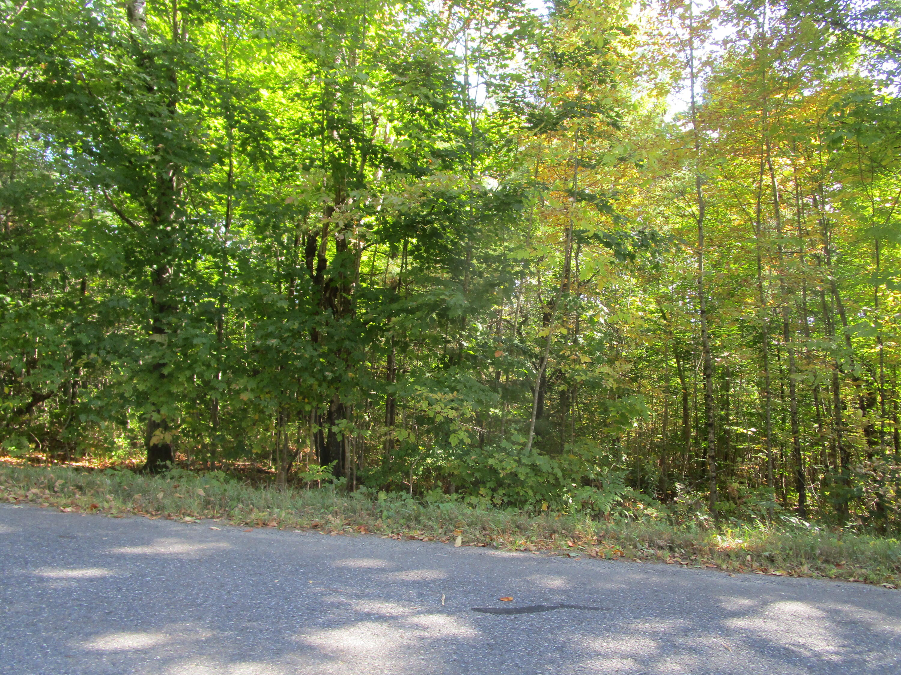 0 Frenchs Mill Road Sangerville, ME 04479 - Photo 3 of 3 IMG_3068