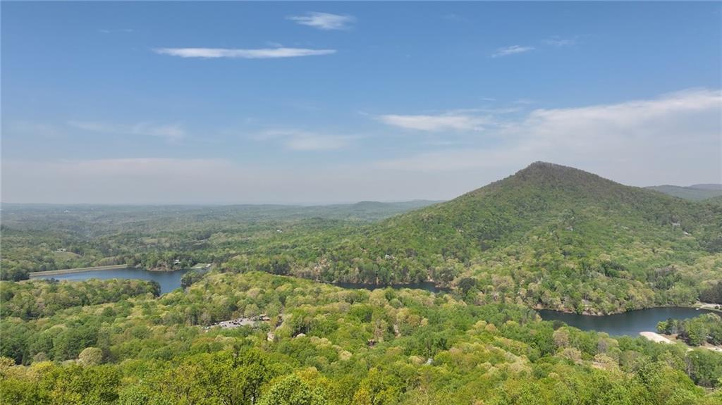 334 Lake View Trace Jasper, GA 30143 - Photo 50 of 68