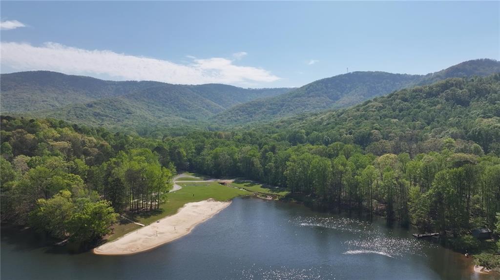 334 Lake View Trace Jasper, GA 30143 - Photo 53 of 68