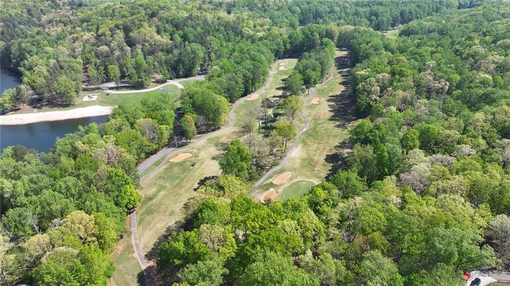 334 Lake View Trace Jasper, GA 30143 - Photo 62 of 68