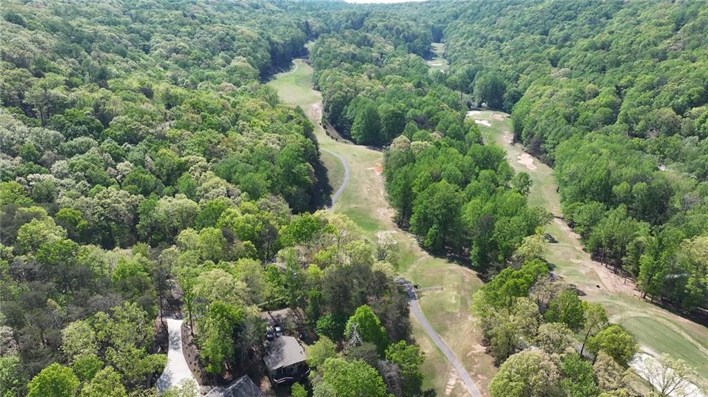 334 Lake View Trace Jasper, GA 30143 - Photo 66 of 68