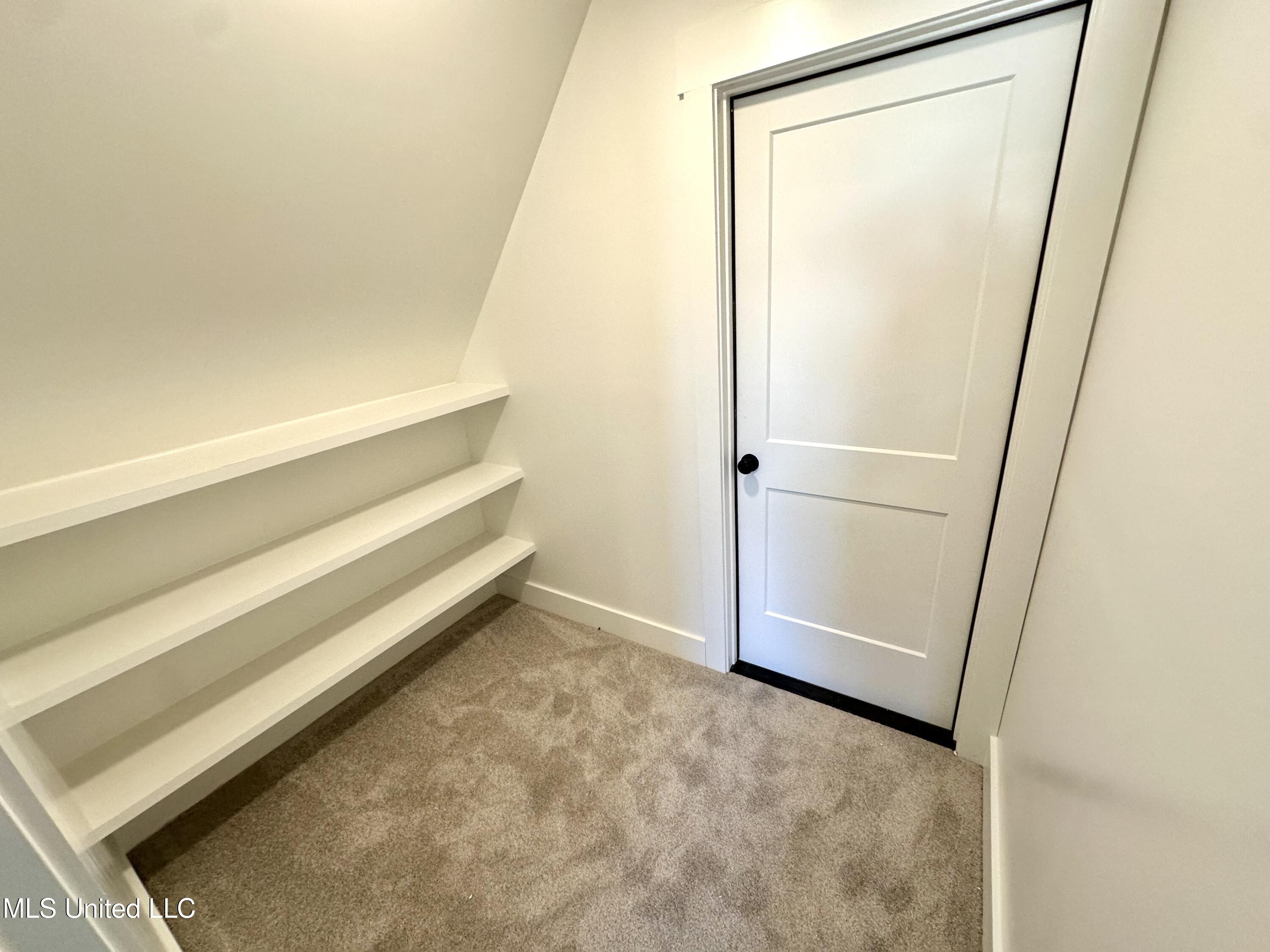 3621 Hatton Drive Nesbit, MS 38651 - Photo 17 of 21 IMG_4816