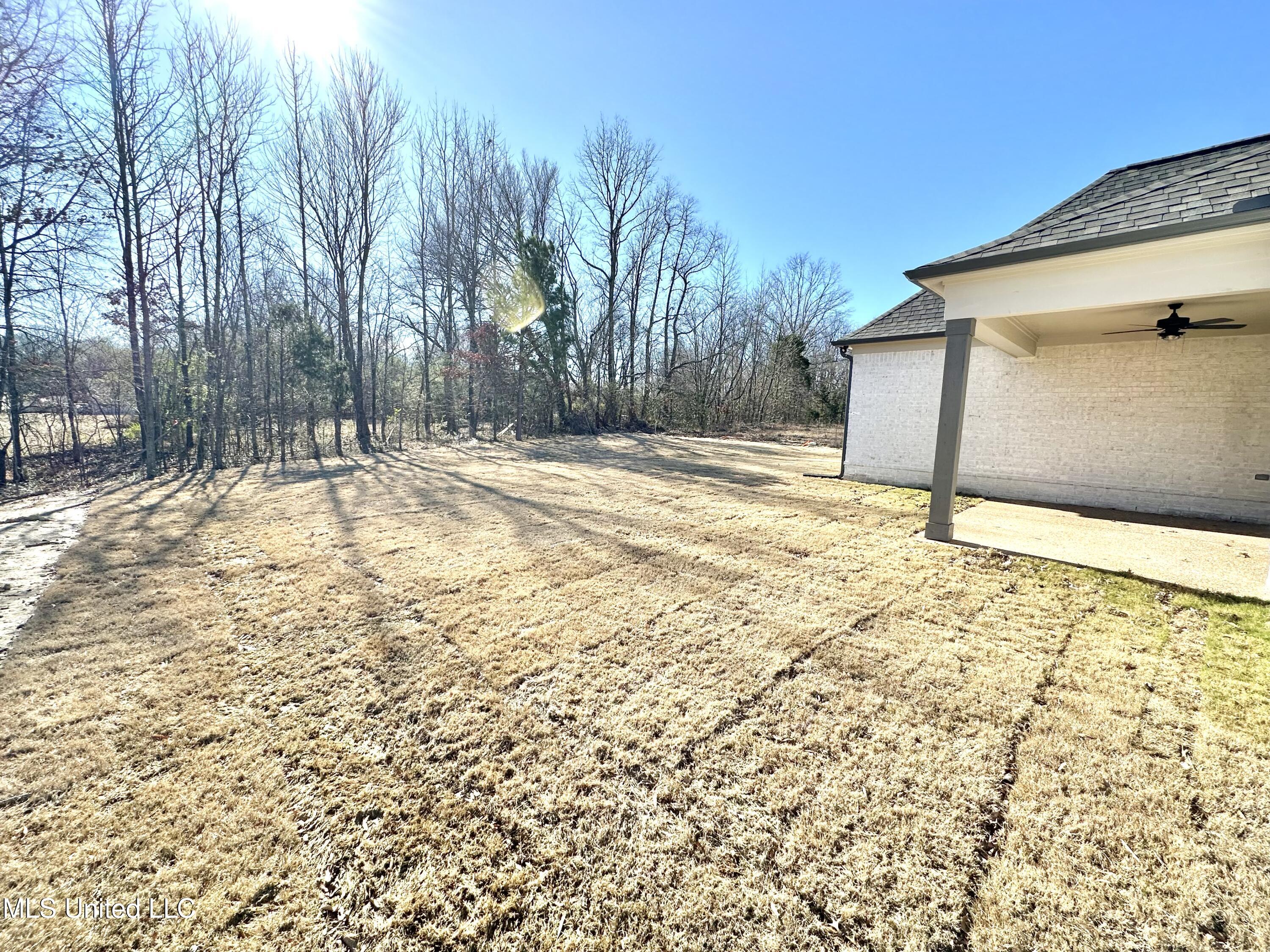3621 Hatton Drive Nesbit, MS 38651 - Photo 23 of 32 IMG_4819