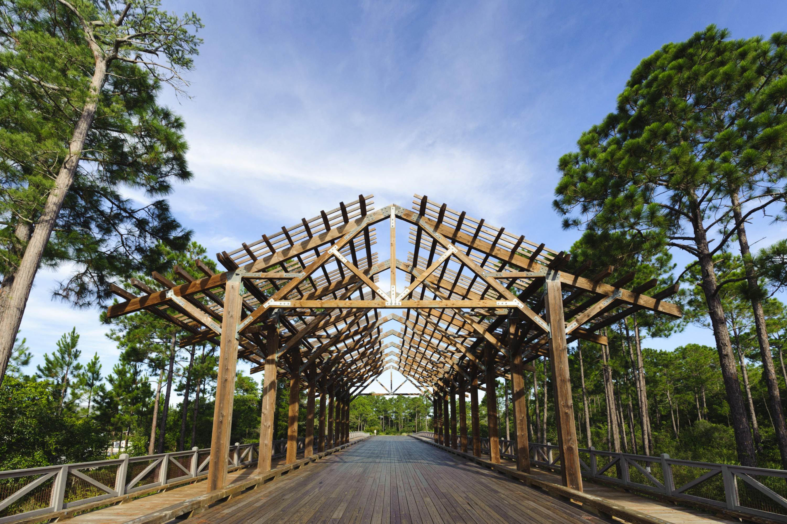 92 Prairie Pass, Unit LOT 248 Santa Rosa Beach, FL 32459 - Photo 8 of 21 Welcome Home