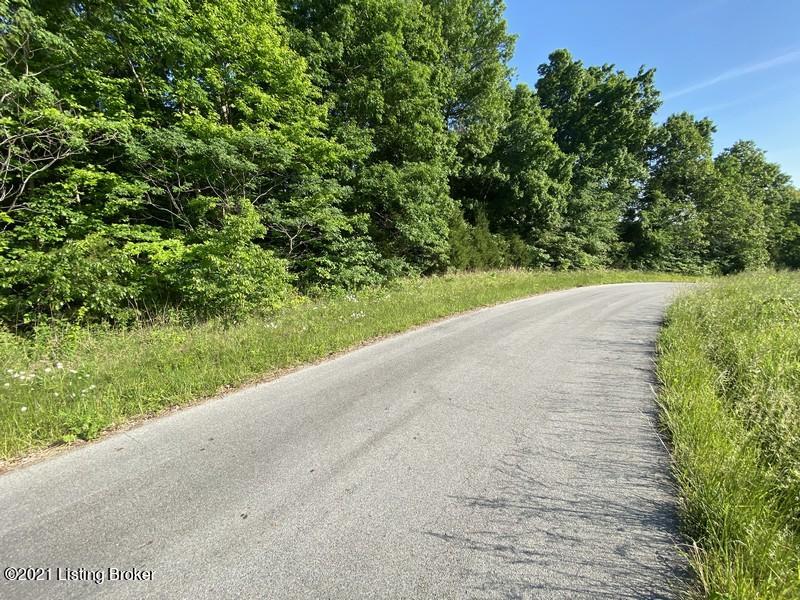 201 A Fox Run Road Caneyville, KY 42721 - Photo 5 of 14 201 Fox Run Tract A 5