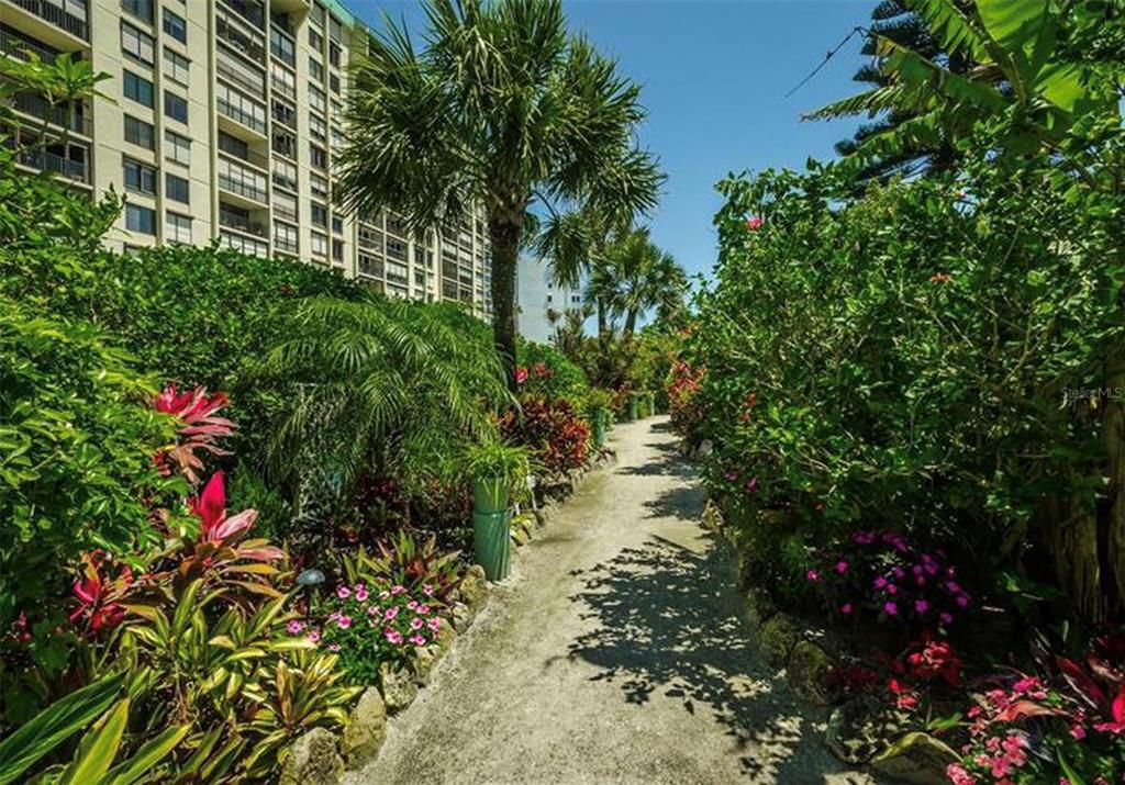 7100 Sunset Way, Unit PH5 St. Pete Beach, FL 33706 - Photo 24 of 32 a close up of a flower in a garden