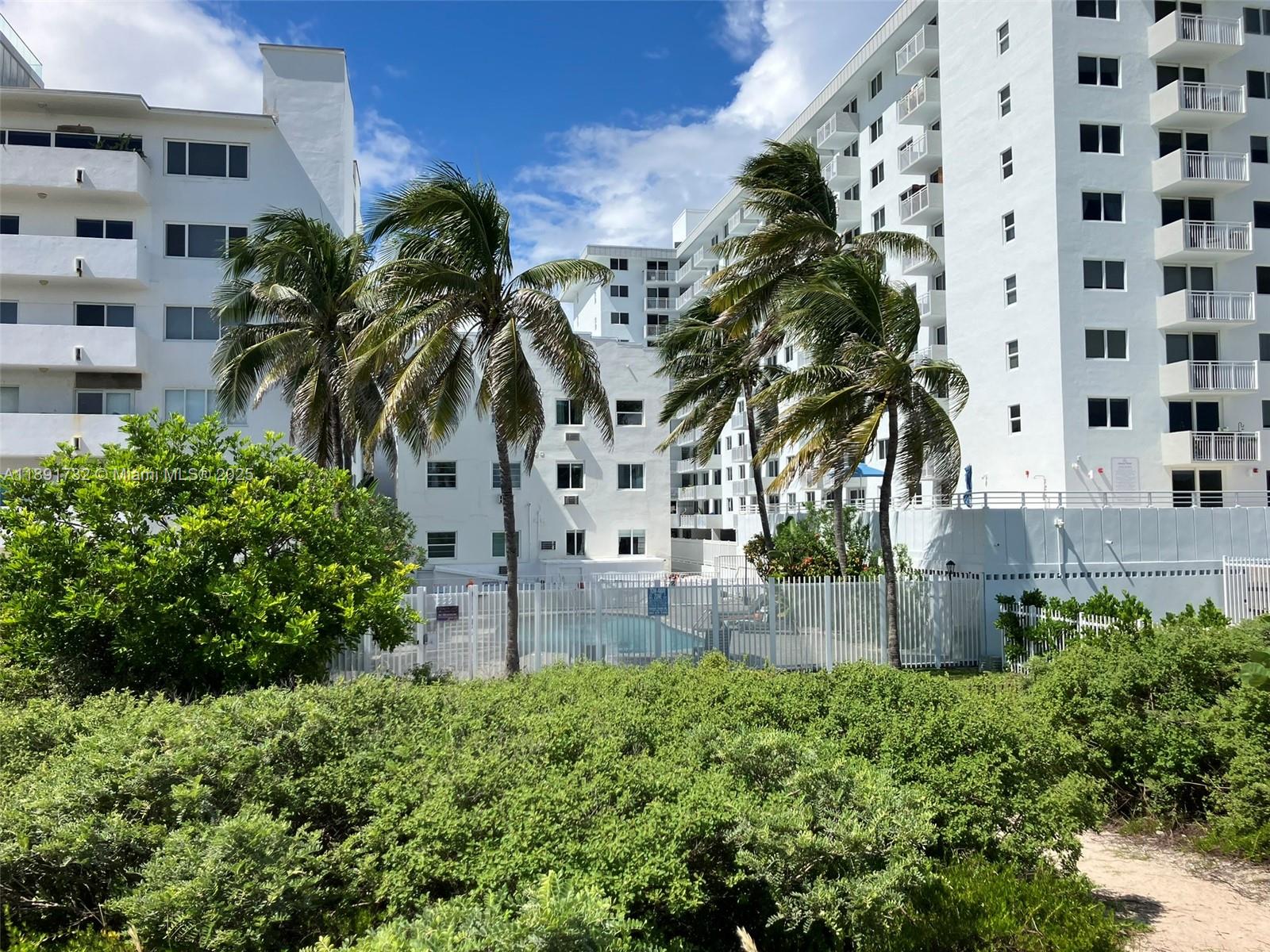 335 Ocean Drive, Unit 306 Miami Beach, FL 33139 - Photo 32 of 34 a view of a backyard with plants and palm trees
