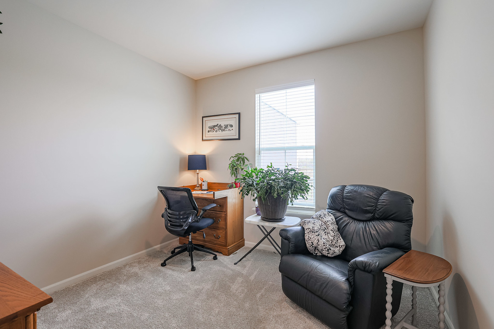 216 North Barry Road South Elgin, IL 60177 - Photo 15 of 50 a living room with furniture and a window