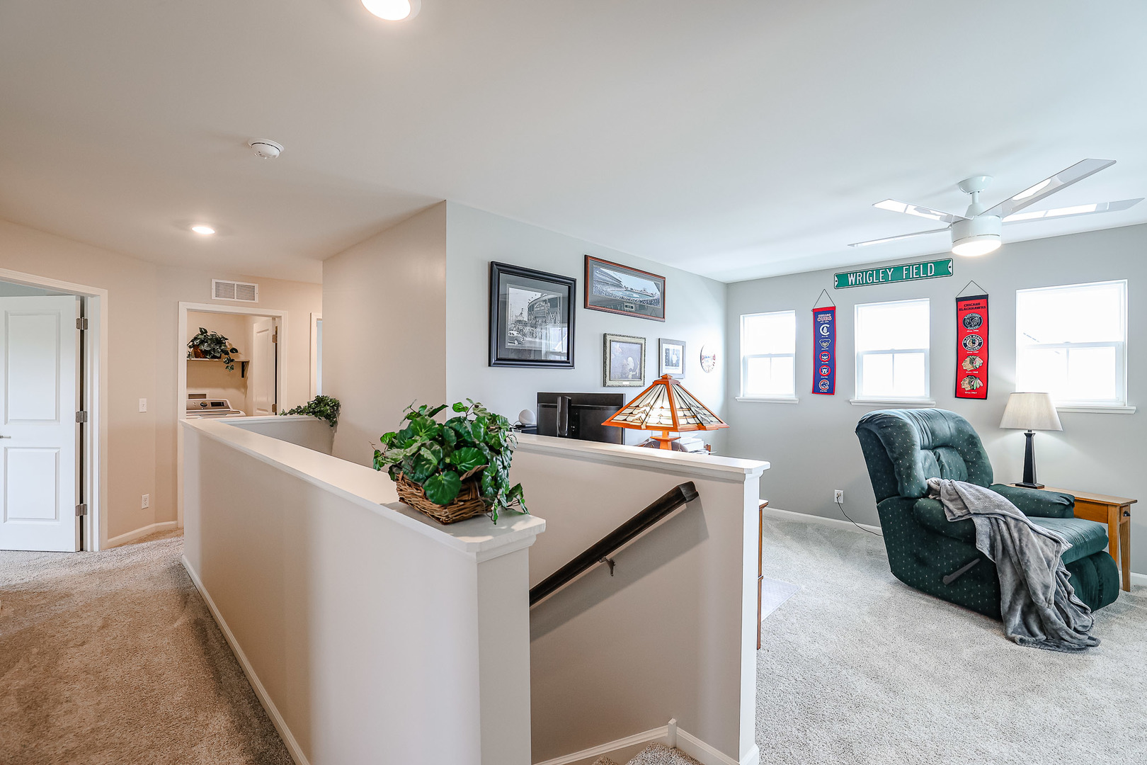 216 North Barry Road South Elgin, IL 60177 - Photo 25 of 50 a living room with furniture and a potted plant