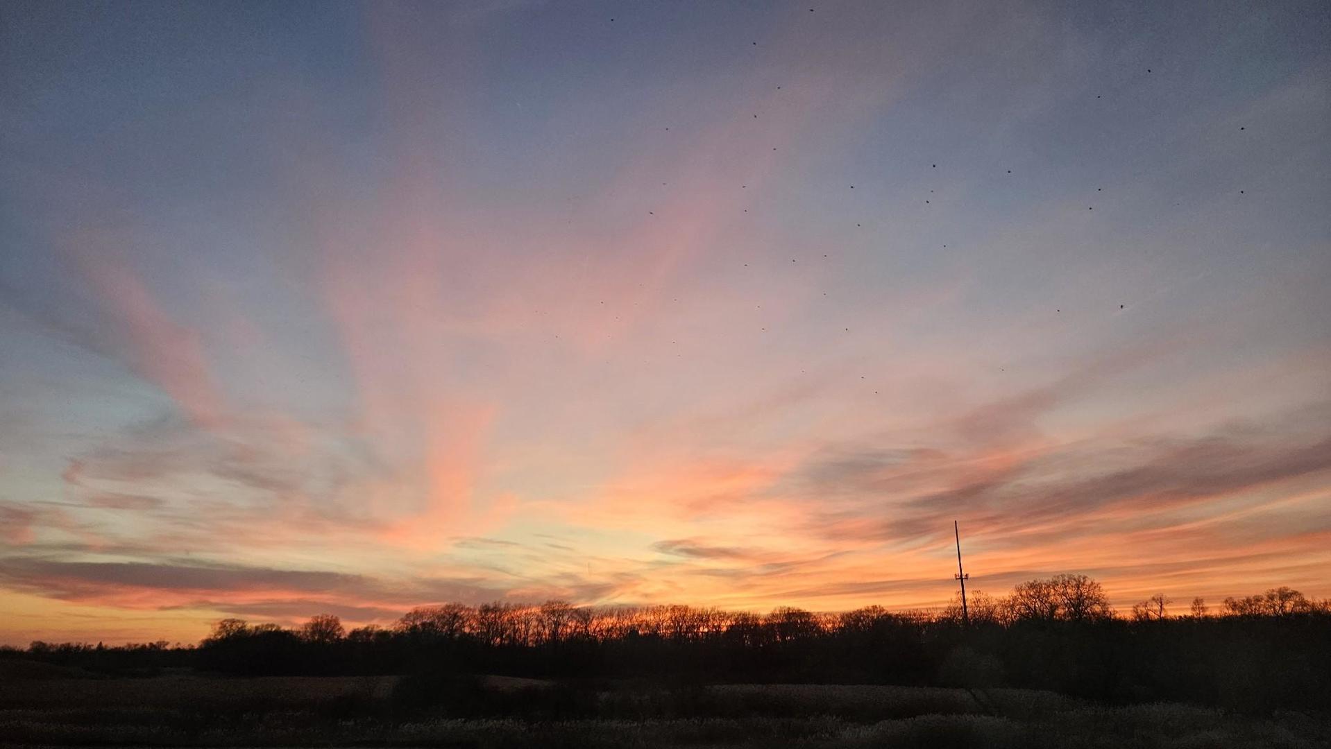 216 North Barry Road South Elgin, IL 60177 - Photo 34 of 50