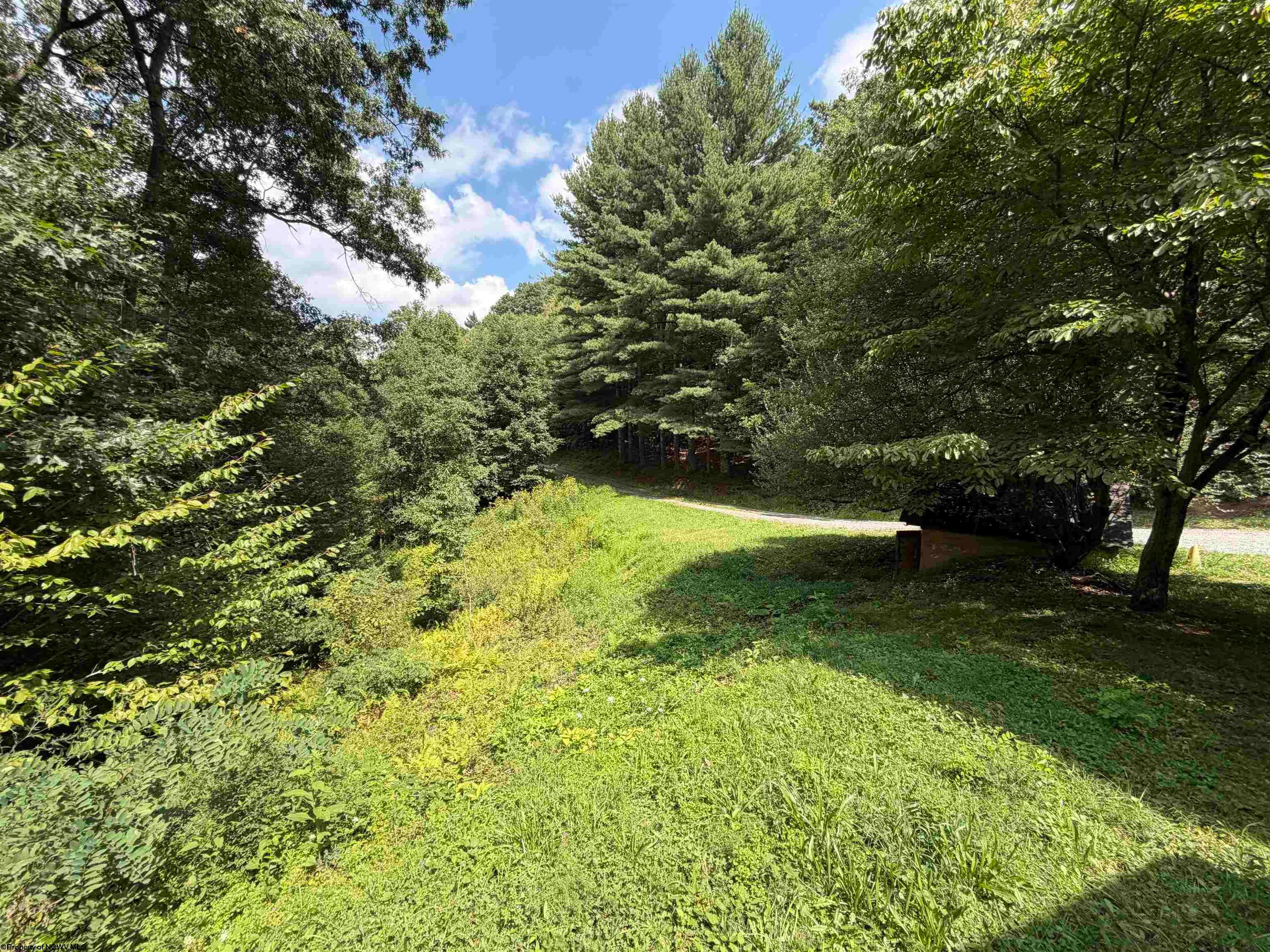 1685 Riffle Creek Road Huttonsville, WV 26273 - Photo 6 of 22 Gallery Image 6
