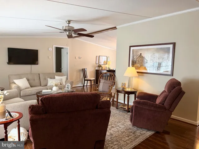 a living room with furniture and a lamp