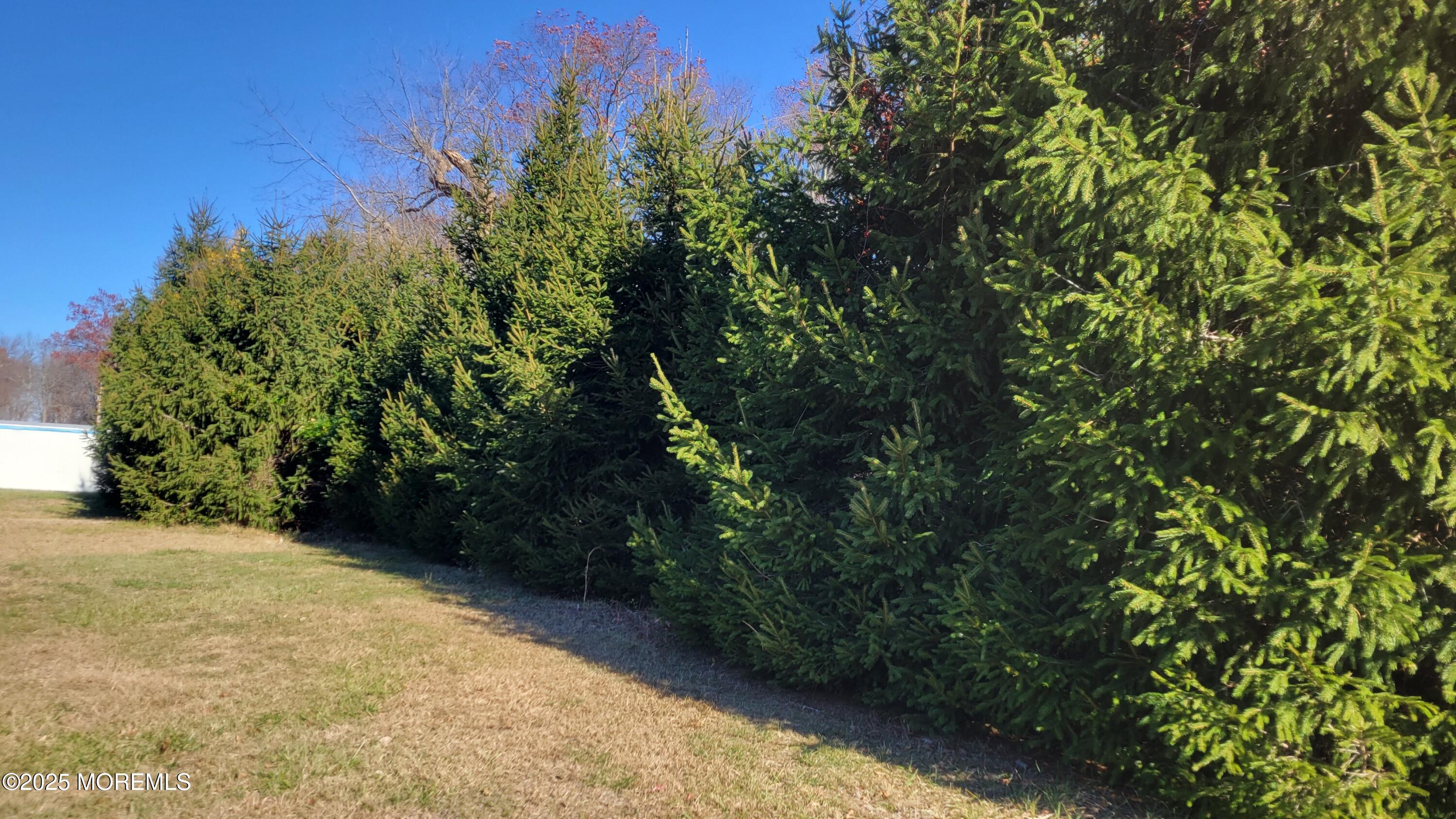 314 West Farms Road Farmingdale, NJ 07727 - Photo 7 of 18 1000013418