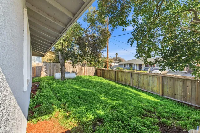 a view of a backyard with a tree