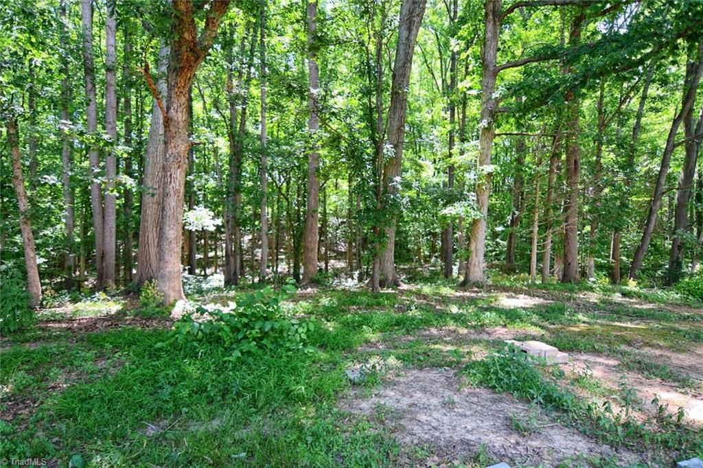 587 Lanier Road Lexington, NC 27295 - Photo 46 of 48 Gallery Image 46