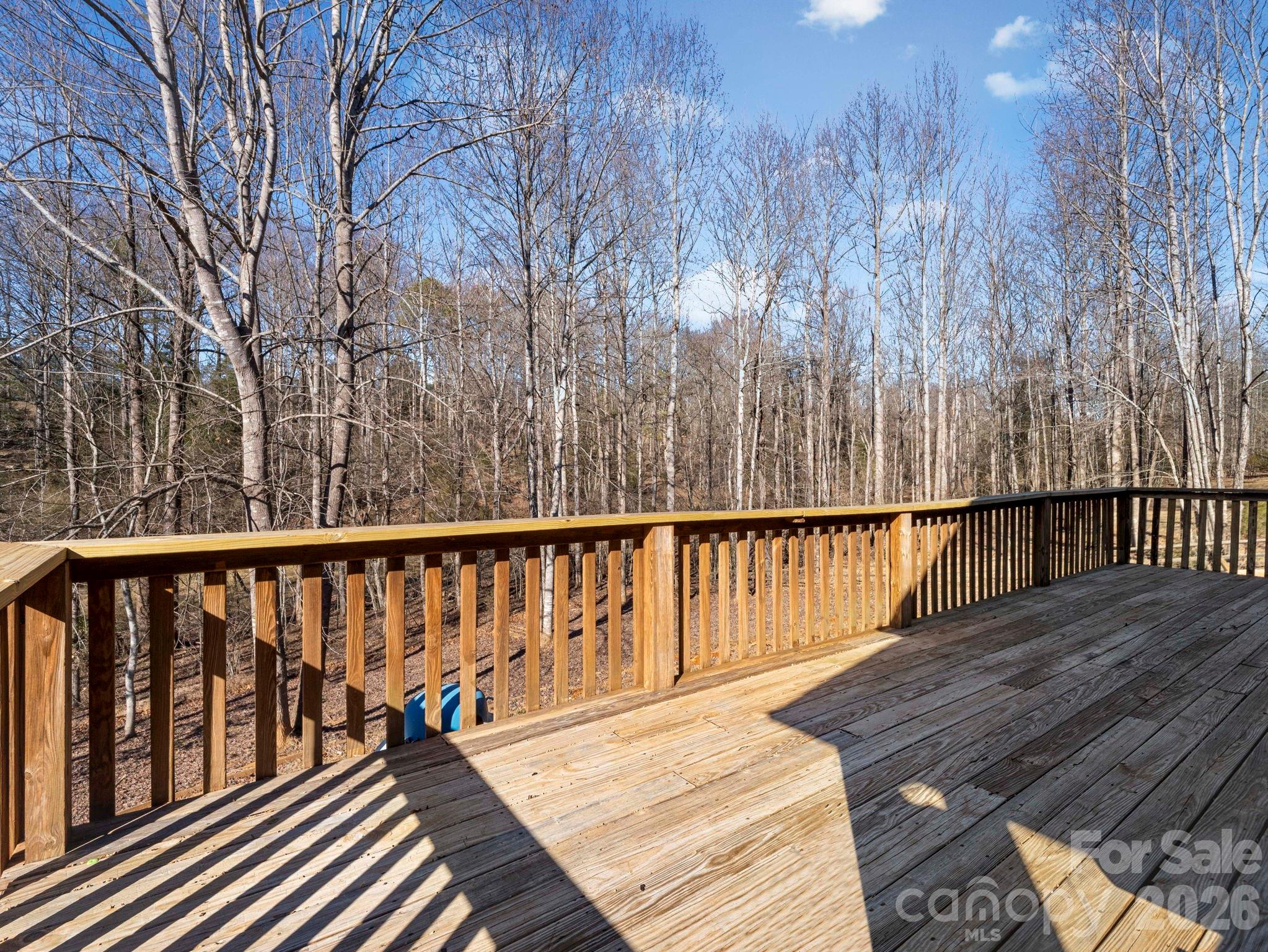 114 Woodstock Lane Rutherfordton, NC 28139 - Photo 35 of 40