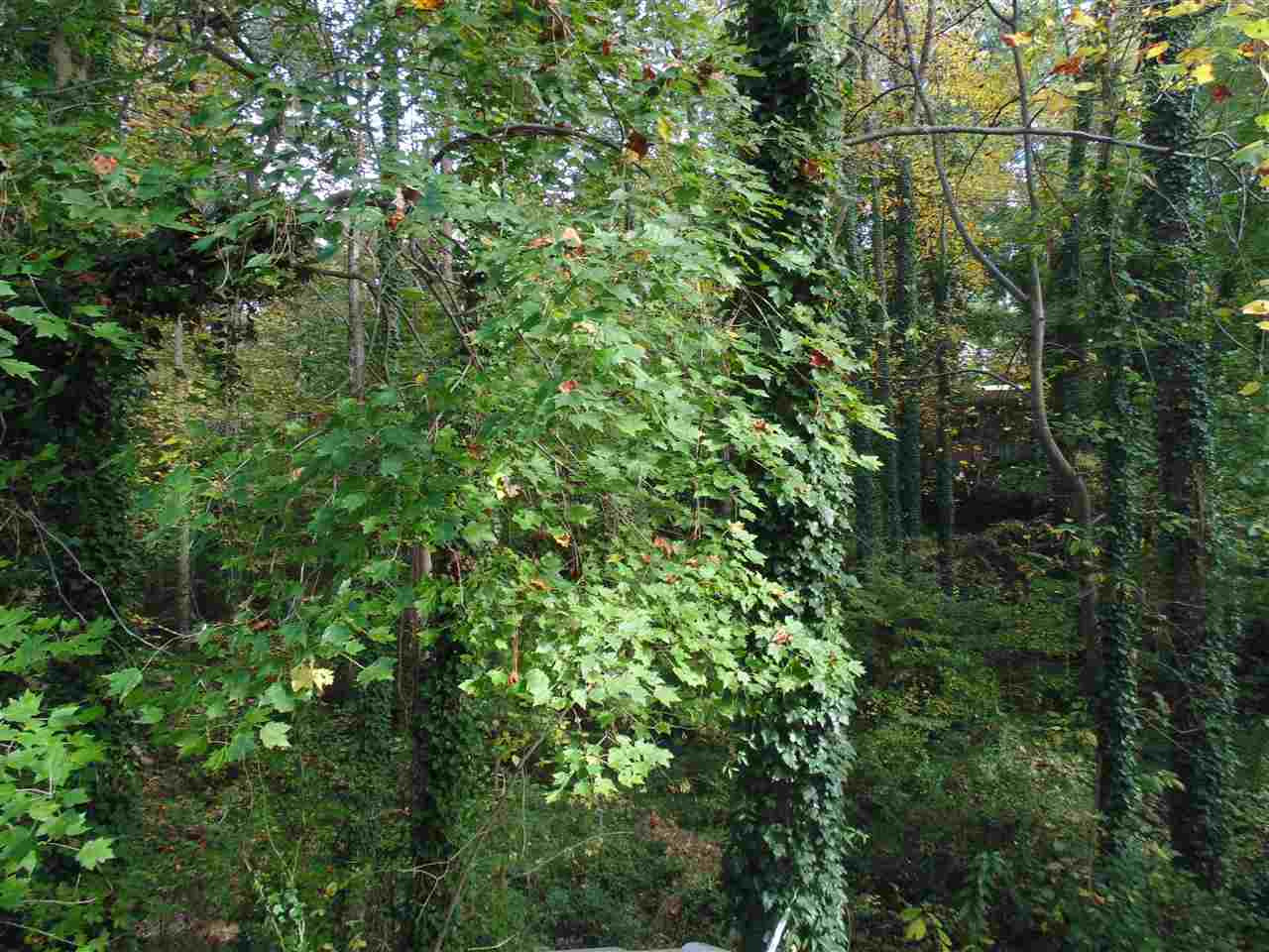 4500 Timberhurst Drive Raleigh, NC 27612 - Photo 24 of 25 Photo 24