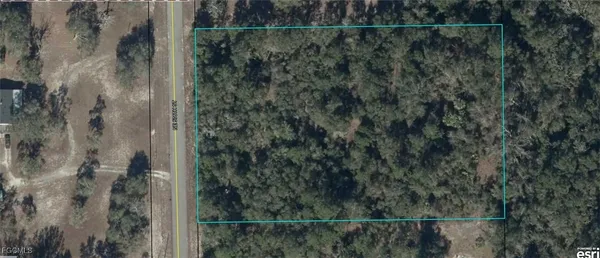 $28,000 | Northeast 576th Street, Old Town, FL 32680