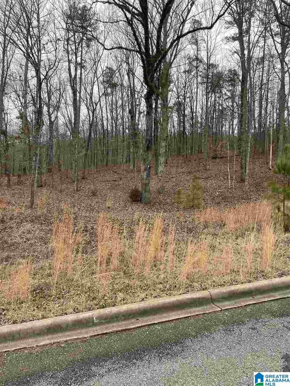 355 Gray Fox Road, Unit 58 Springville, AL 35146 - Photo 2 of 10