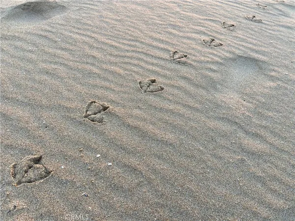 a close view of shower tap