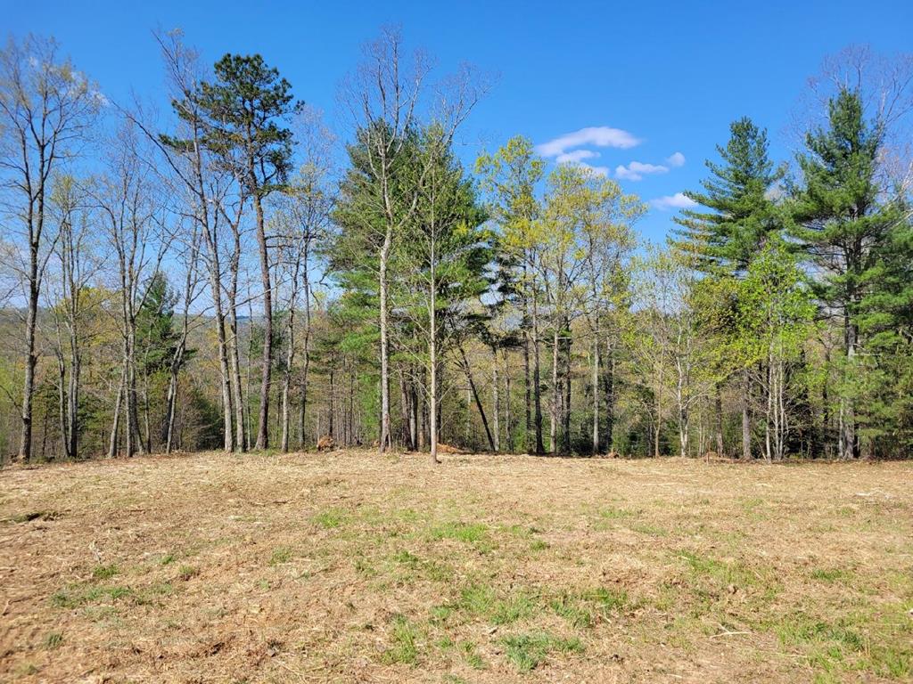 2230 Byllesby Road Ivanhoe, VA 24350 - Photo 12 of 25 Gallery Image 12