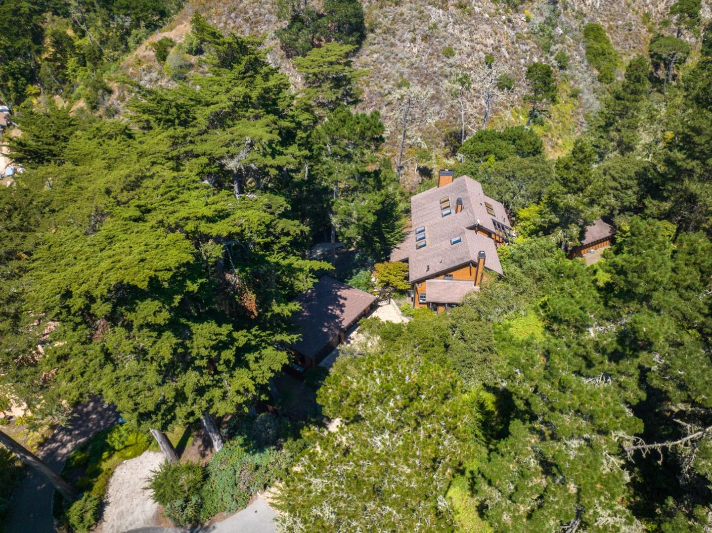 29705 Peter Pan Road Carmel, CA 93923 - Photo 45 of 51 a picture of a tree