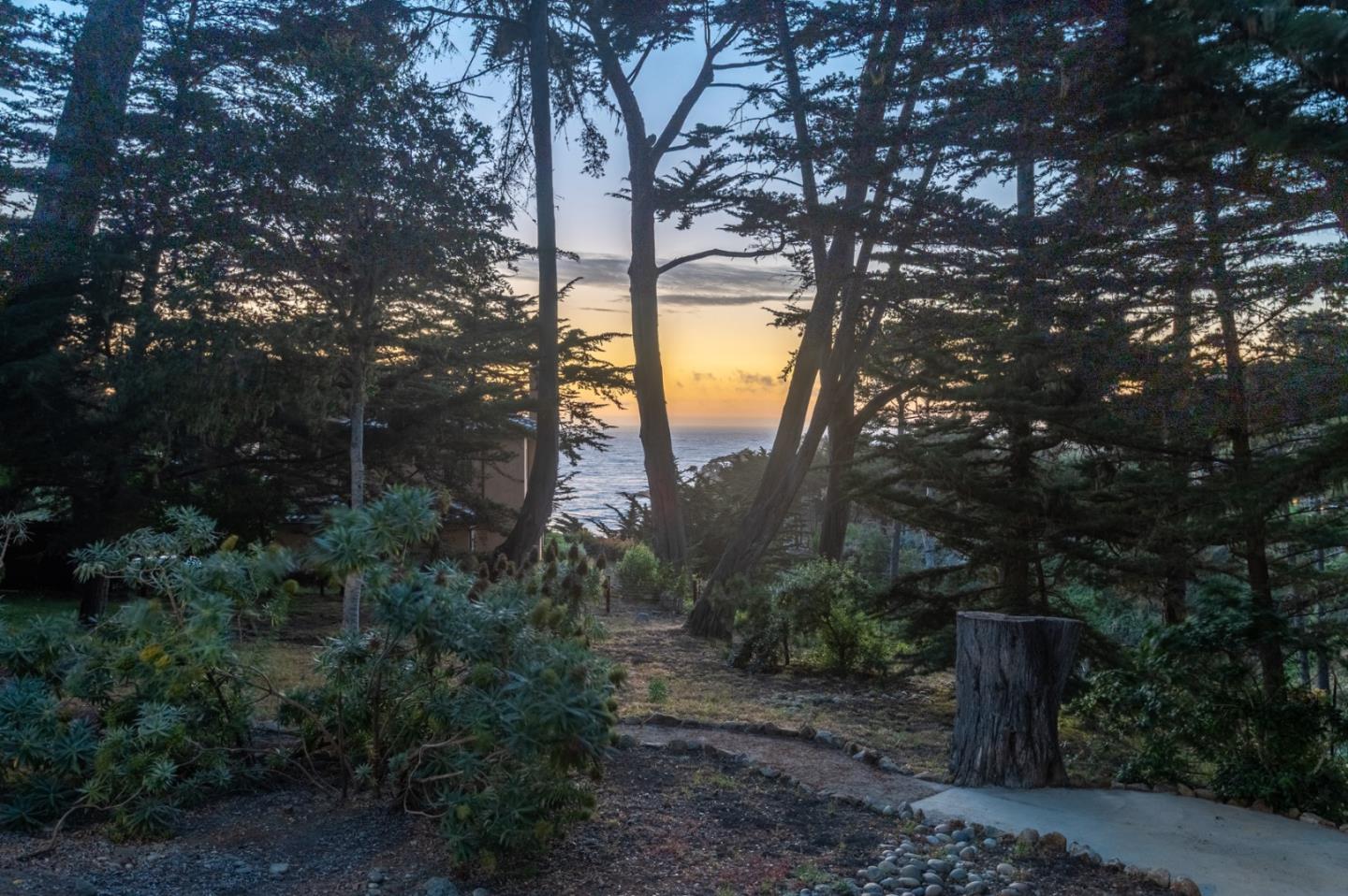 29705 Peter Pan Road Carmel, CA 93923 - Photo 49 of 51 a backyard of a house with lots of green space and garden