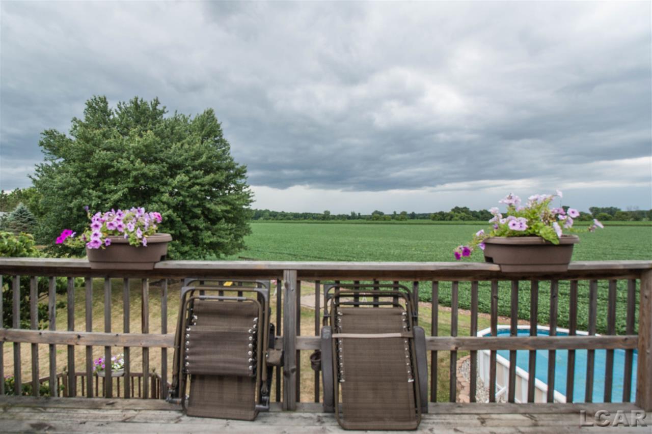 1563 Ives Road Tecumseh, MI 49286 - Photo 24 of 41 31354554-23.JPG