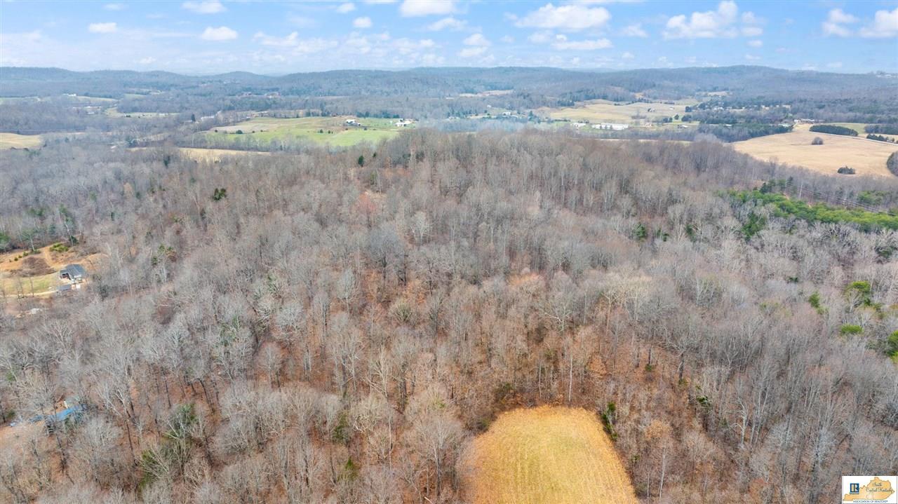 1266 Campground Road Bonnieville, KY 42713 - Photo 19 of 37 Gallery Image 19