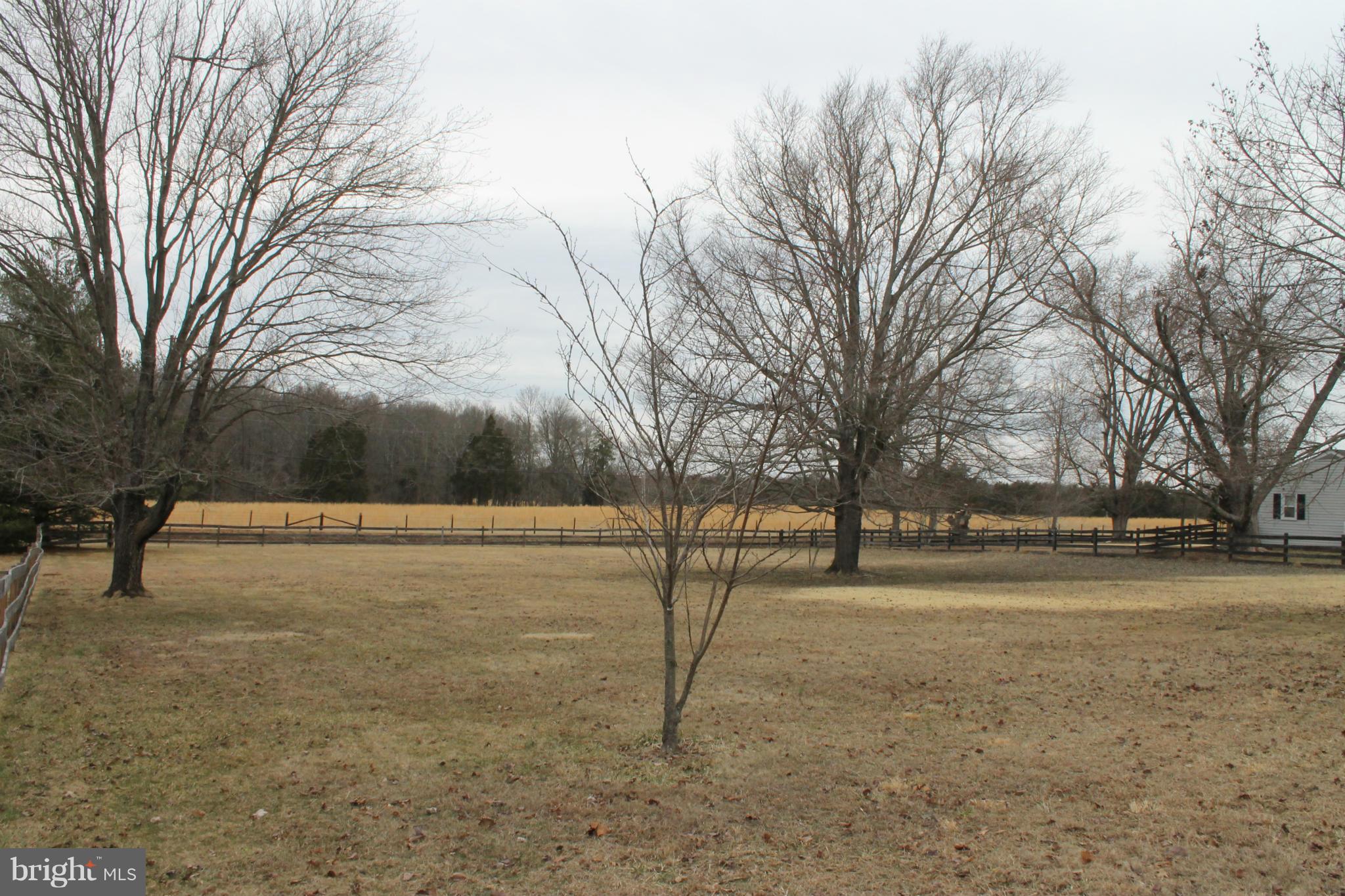 5423 Balls Mill Road Midland, VA 22728 - Photo 14 of 17 Front Yard