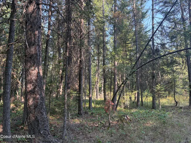 $475,000 | Nna North Nna N Lewellen Creek, Athol, ID 83801