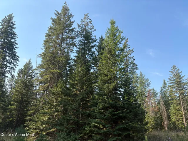 $475,000 | Nna North Nna N Lewellen Creek, Athol, ID 83801