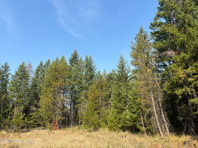 $475,000 | Nna North Nna N Lewellen Creek, Athol, ID 83801