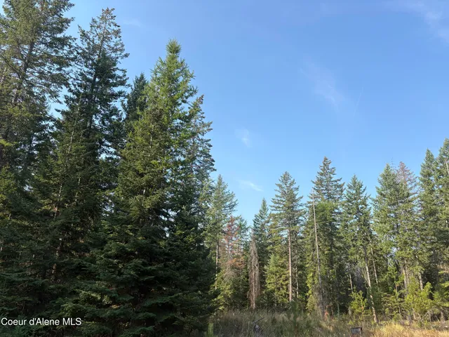 $475,000 | Nna North Nna N Lewellen Creek, Athol, ID 83801