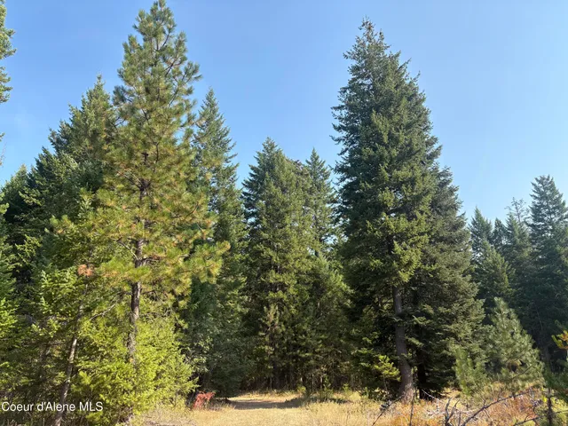 $475,000 | Nna North Nna N Lewellen Creek, Athol, ID 83801