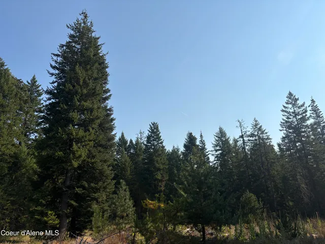 $475,000 | Nna North Nna N Lewellen Creek, Athol, ID 83801